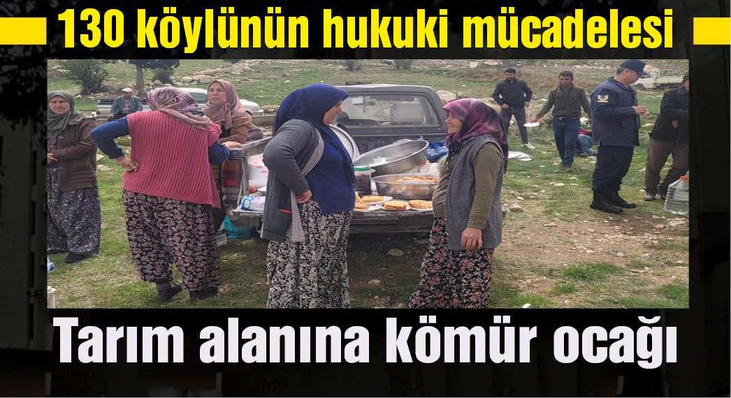 130 köylünün, meyve bahçelerine kömür ocağını önleme mücadelesi