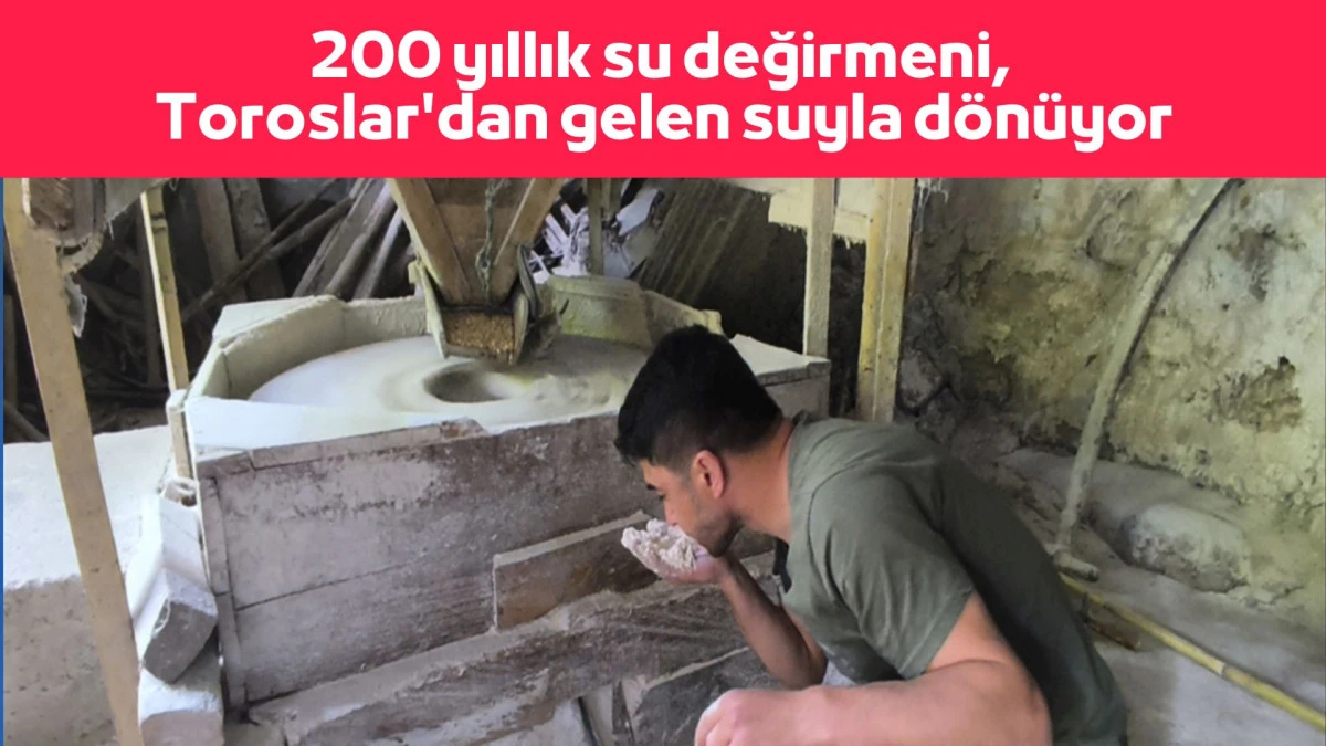 200 yıllık su değirmeni, Toroslar'dan gelen suyla d&ouml;n&uuml;yor