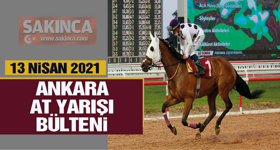 Ankara at yarışı tahminleri 2 Mayıs 2023! TJK TV canlı izle ...