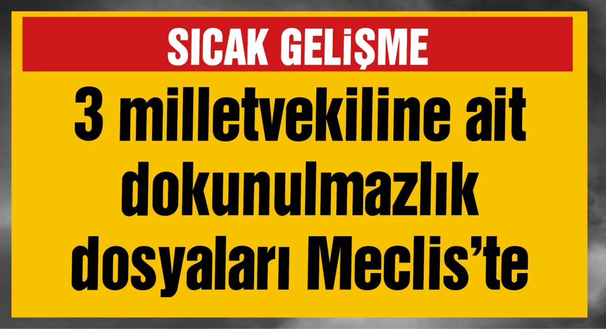3 milletvekiline ait dokunulmazlık dosyaları Meclis'te