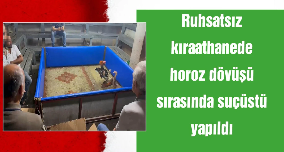Adana'da horoz dövüştürenlere suçüstü