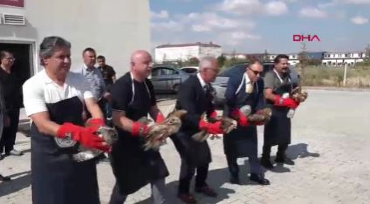 Afyonkarahisar'da tedavileri tamamlanan yabani hayvanlar doğaya salındı