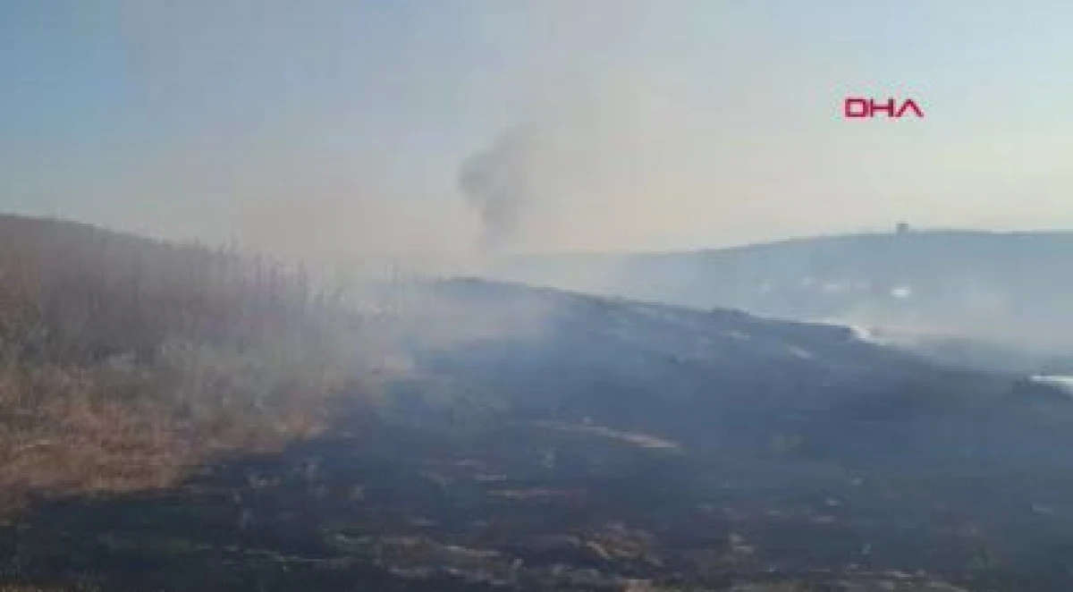 Anız yangını saman balyalarına sı&ccedil;radı