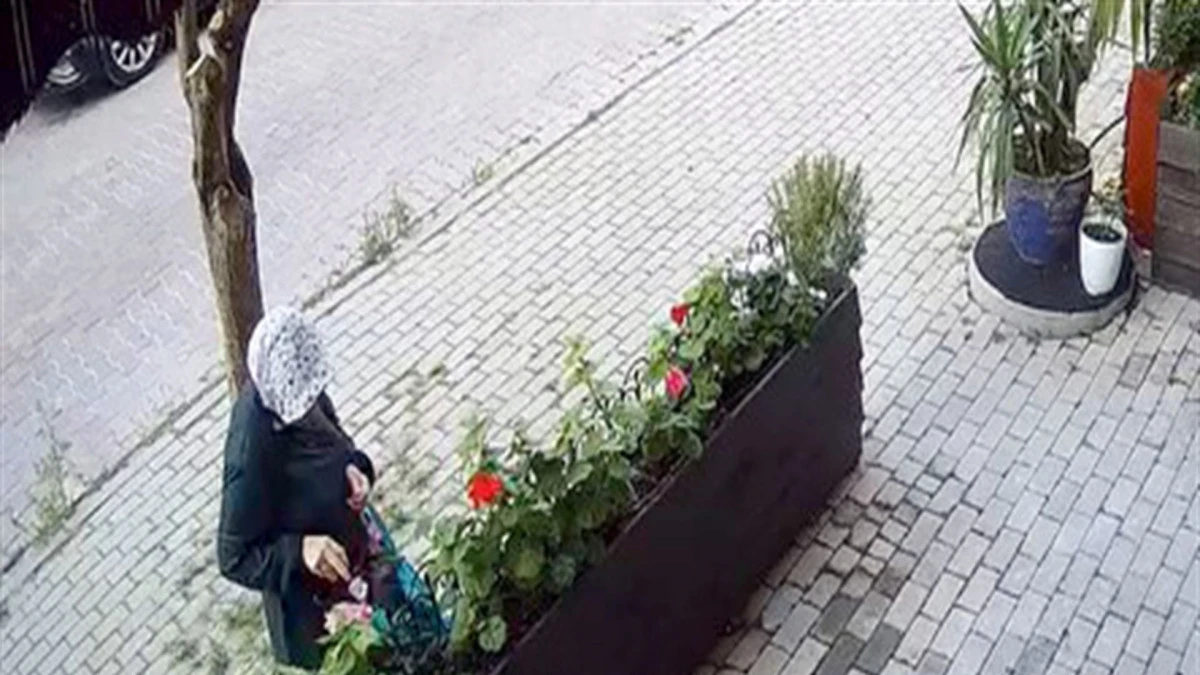 Avcılar'da iş yerinin &ouml;n&uuml;nde yetiştirilen &ccedil;i&ccedil;ekleri s&ouml;k&uuml;p &ccedil;aldı