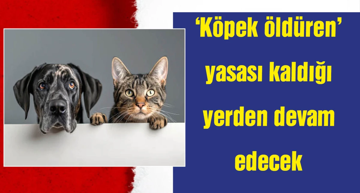AYM, 'Hayvanları Koruma Kanunu'nun iptali talebini reddetti