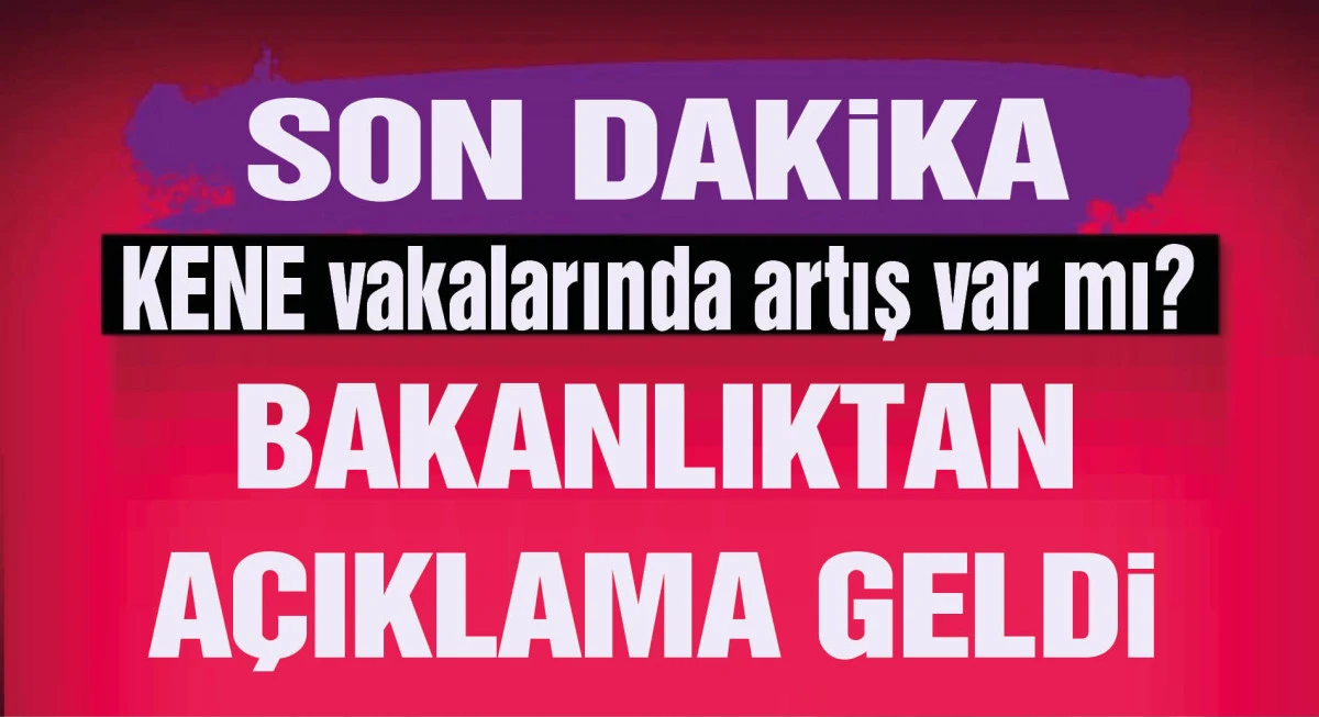 Bakanlıktan 'kene' açıklaması: Ülkemizde yoğunluğun arttığına dair bir tespit bulunmuyor