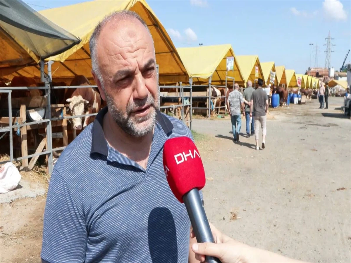 Bayrama sayılı günler kala kurban pazarlarında alıcı fiyata satıcı maliyete bakıyor