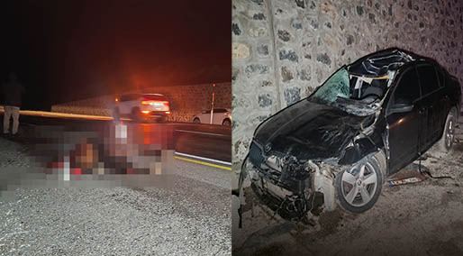 Bingöl'de yola çıkan ata otomobil çarptı: 1 ölü, 5 yaralı
