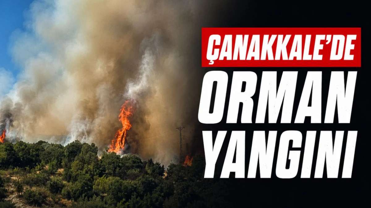 &Ccedil;anakkale'de orman yangını