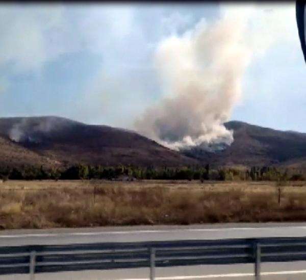 Çankırı'da ağaçlık alanda yangın