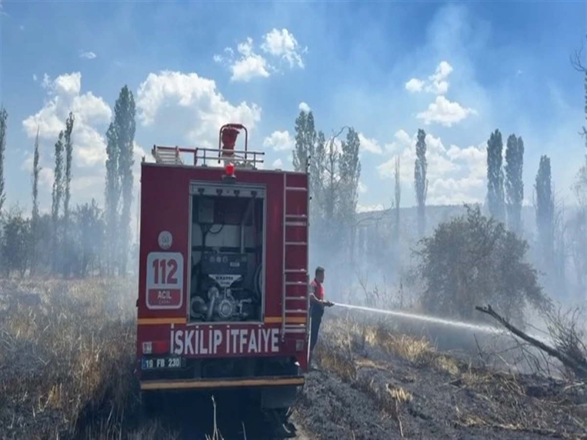 &Ccedil;orum'da ekili arazi ve ağa&ccedil;lık alanda yangın