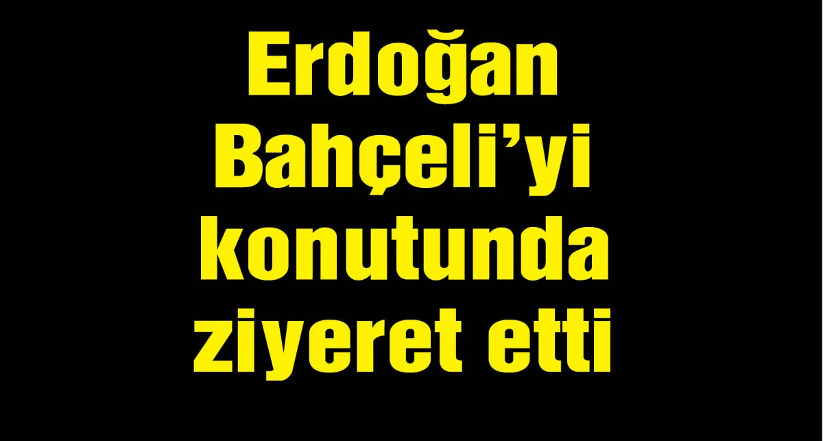 Cumhurbaşkanı Erdoğan, Devlet Bahçeli ile 9 ocaktan sonra ilk kez bir araya geldi