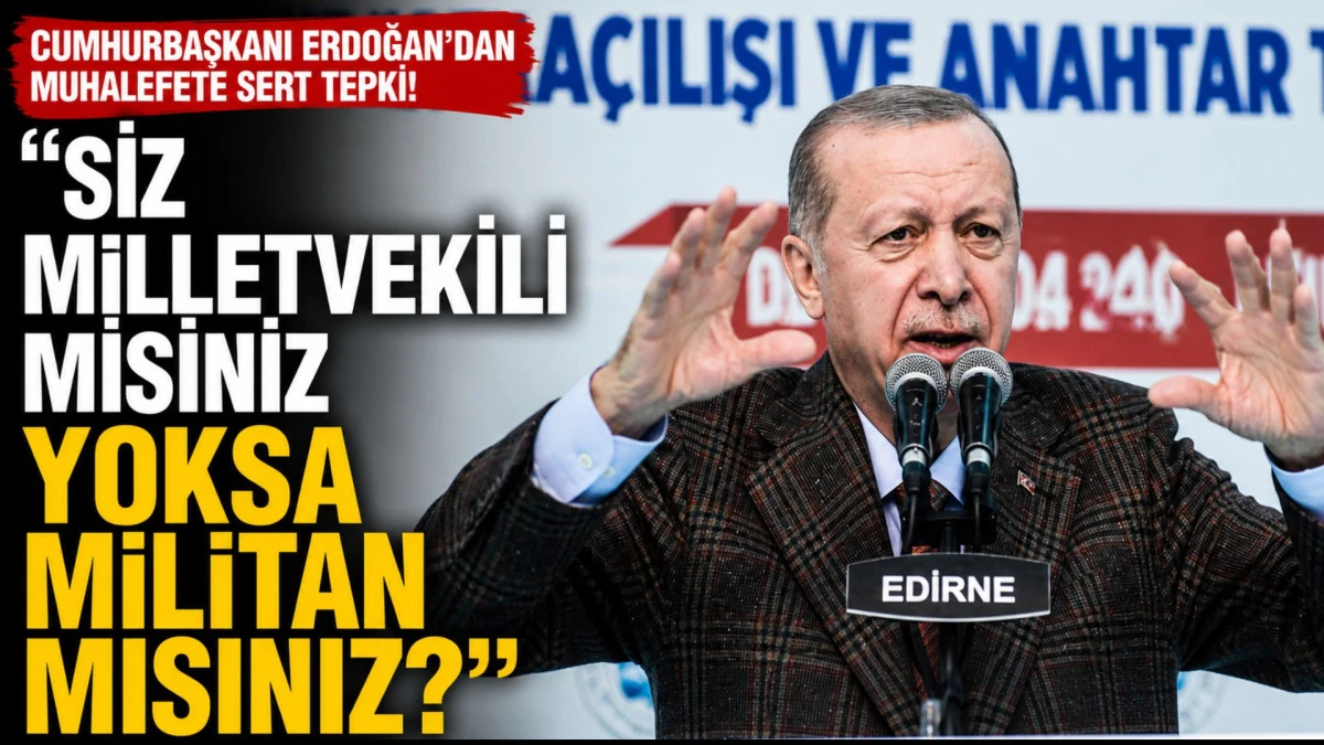 Cumhurbaşkanı Erdoğan: Siz milletvekili misiniz yoksa militan mısınız
