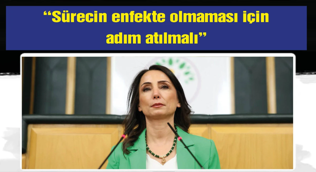 DEM Parti'li Hatimoğulları: Silahsızlanma sürecinin başarıyla sonuçlanması için koşulların sağlanması elzemdir