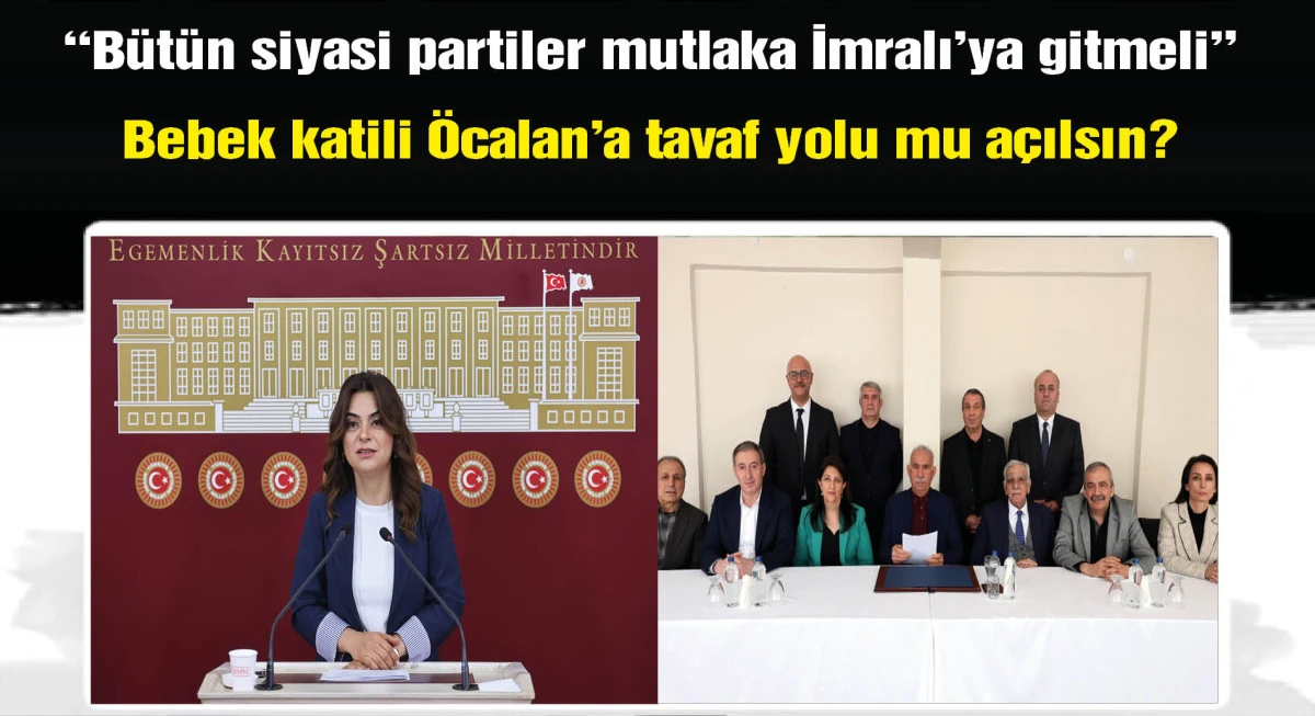 DEM Parti'li Koçyiğit: Bütün partiler İmralı'ya gitmeli