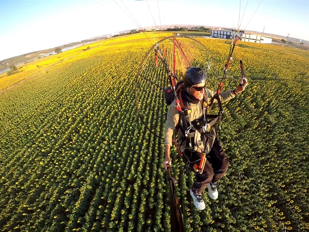 Edirne'nin 'sarı gelin'i ay&ccedil;i&ccedil;eği tarlaları &uuml;zerinde paramotorla u&ccedil;tu