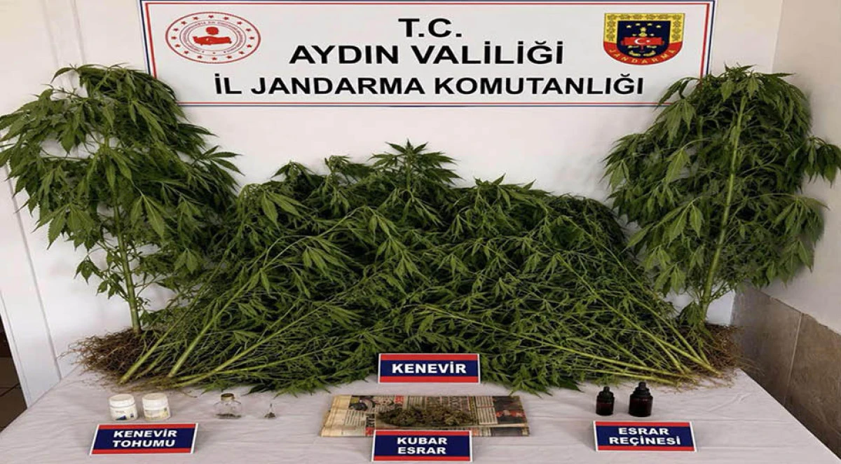Evinde uyuşturucuyla yakalanıp, g&ouml;zaltına alındı
