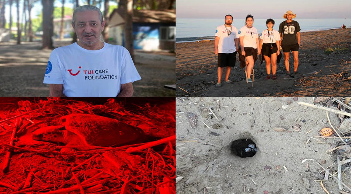 Hava ısındı, caretta yuvaları arttı