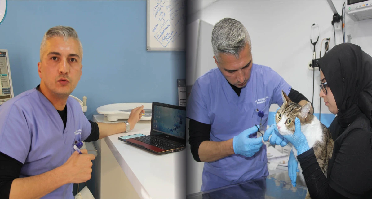 Hayvan tedavilerinde 'yapay zeka' desteği