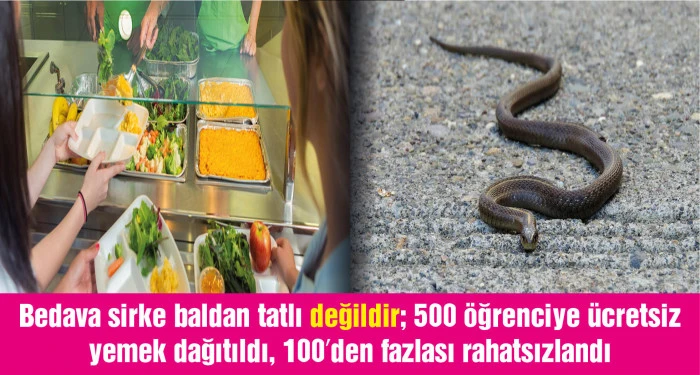Hindistan'da okul yemeğinde ölü yılan bulundu, 100'den fazla çocuk hastalandı