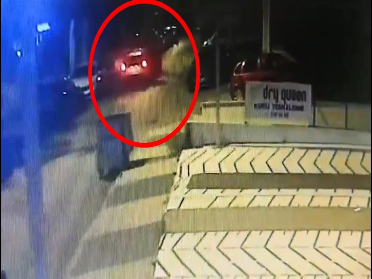 İBB K&uuml;lt&uuml;r A.Ş. Genel M&uuml;d&uuml;r Yardımcısı Karaal'ın ka&ccedil;ırılmasına ilişkin g&ouml;zaltı sayısı 12'ye y&uuml;kseldi