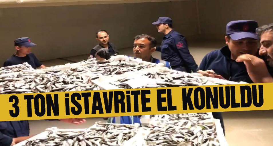 İstanbul'da boy yasağına aykırı avlanan 3 ton istavrite el konuldu
