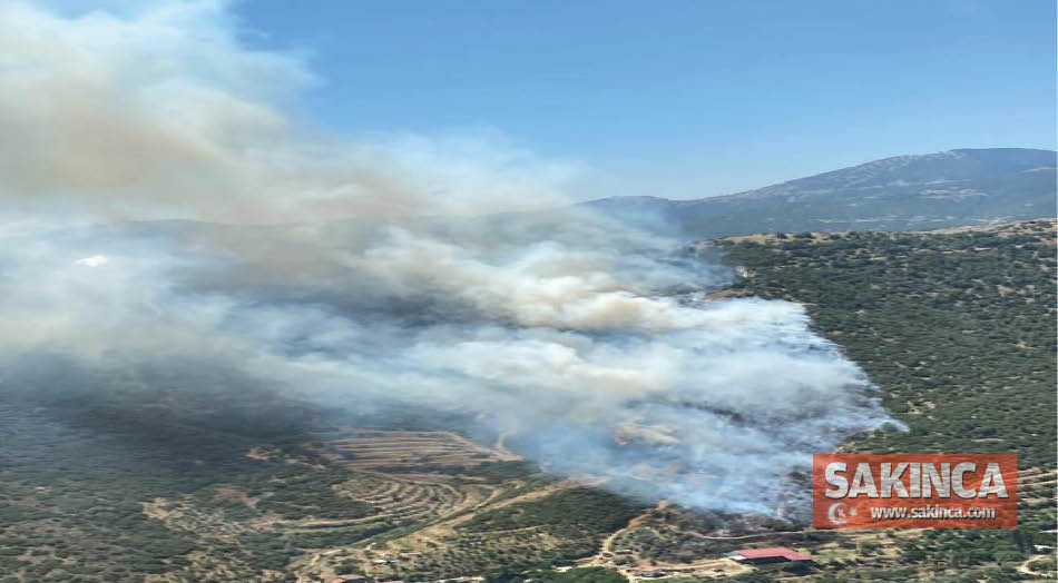 İzmir’de iki farklı ilde orman yangını çıktı