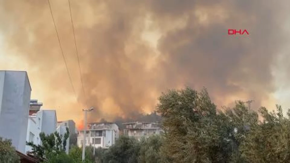İzmir'de maki yangın