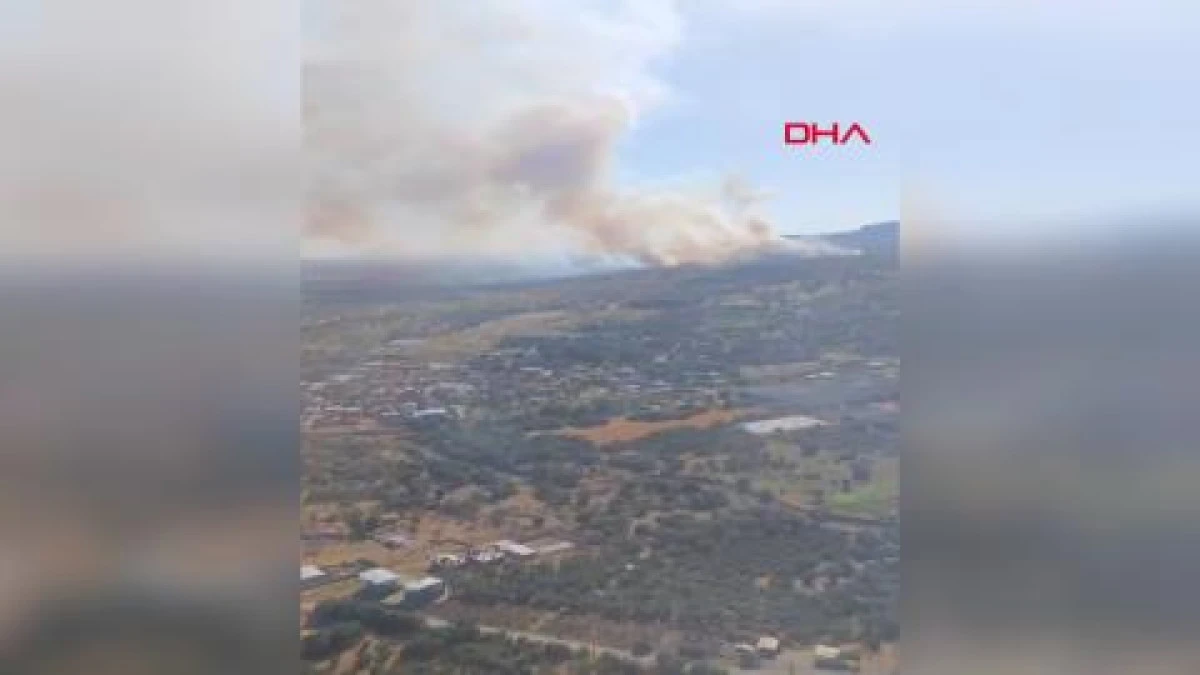 İzmir&rsquo;de maki yangını
