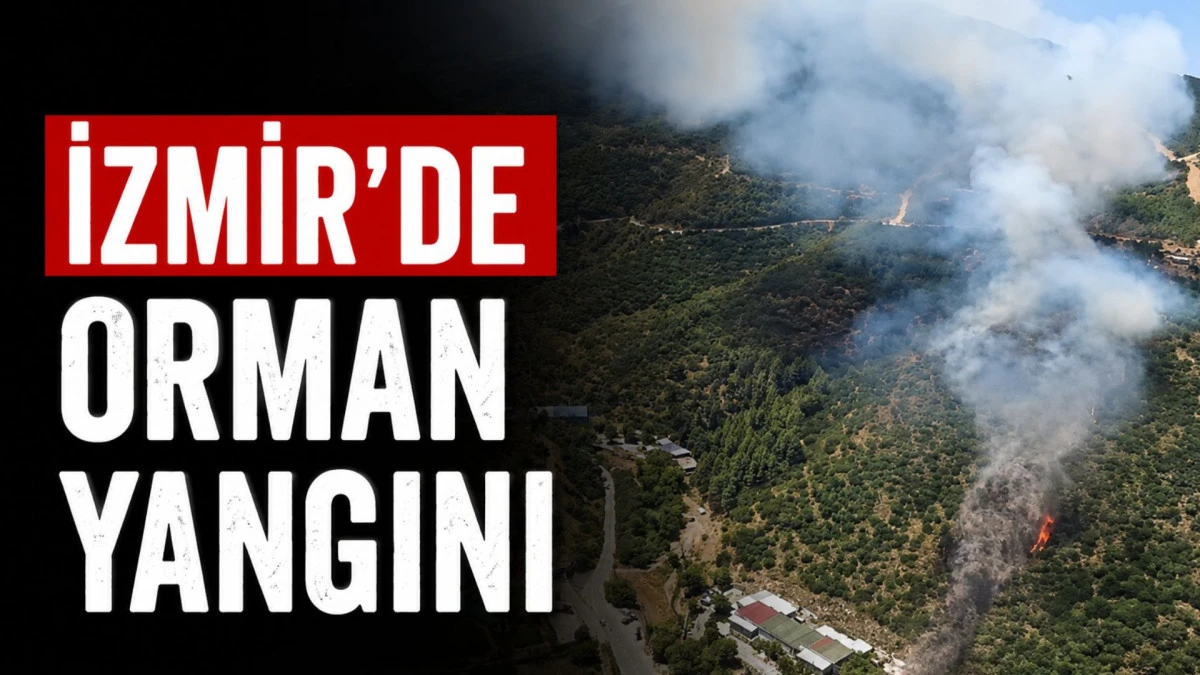 İzmir&rsquo;de orman yangını