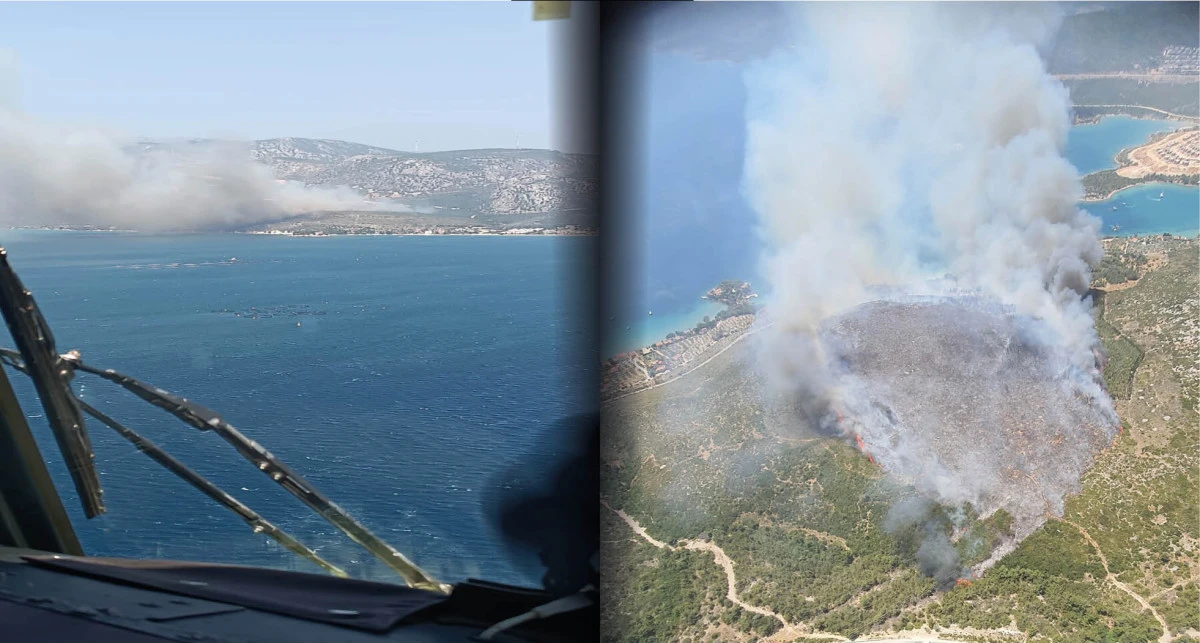 İzmir'de orman yangını
