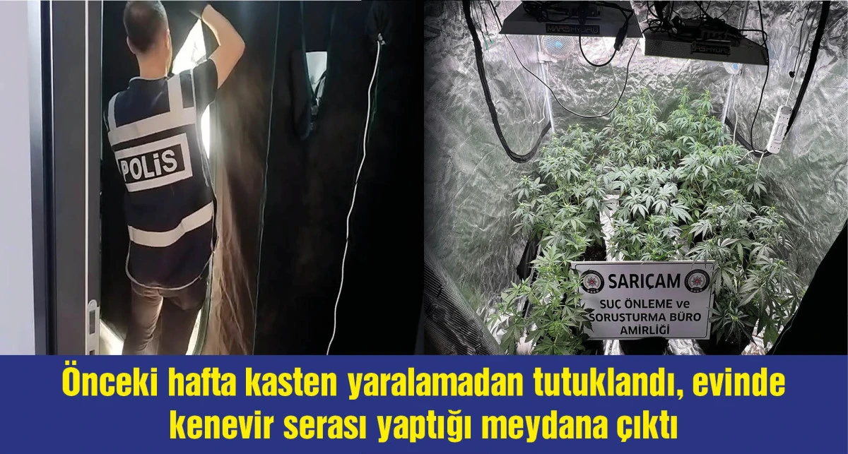 ‘Kasten yaralama’dan cezaevine girdi, evine ‘kenevir’ serası kurduğu ortaya çıktı