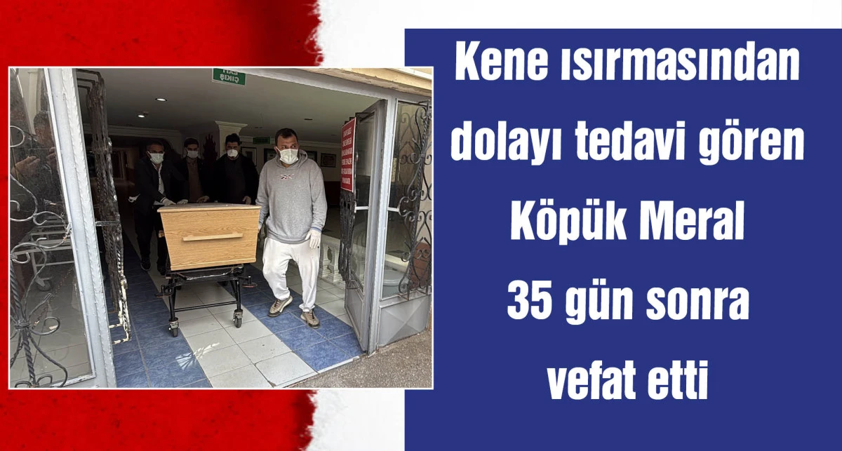 KKKA tedavisi gören 7 çocuk annesi öldü