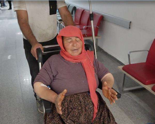 K&ouml;peklerin saldırısında yaralanan kadın, taburcu oldu 
