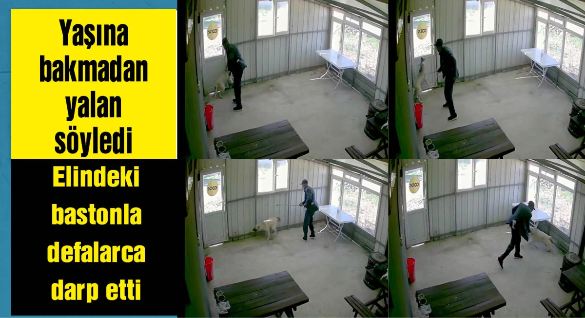 Köy kahvesinde bakılan köpeği bastonuyla darbetti