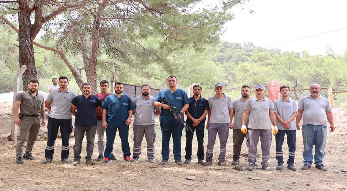 Kurban Bayramı'na özel 'hayvan yakalama ekibi' hazır