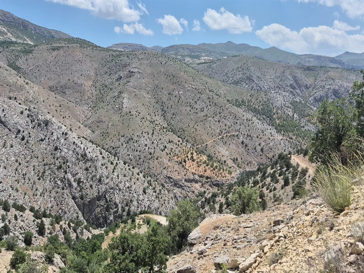 Malatya'da 3 aydır aranan Aysel'in &ouml;ld&uuml;r&uuml;ld&uuml;ğ&uuml; ortaya &ccedil;ıktı