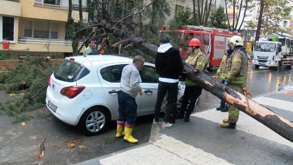 Maltepe'de ağaç otomobilin üzerine devrildi 
