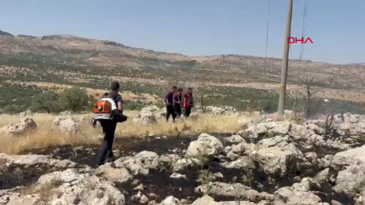 Mardin'in 3 il&ccedil;esinde &ccedil;ıkan yangınlar s&ouml;nd&uuml;r&uuml;ld&uuml;