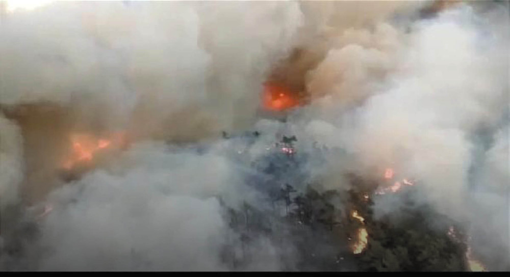 Marmaris'te orman yangını 