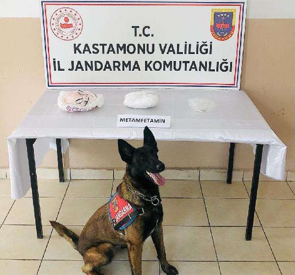 Narkotik k&ouml;peği 'Val&ouml;r' ile 2 kilo metamfetamin ele ge&ccedil;irildi