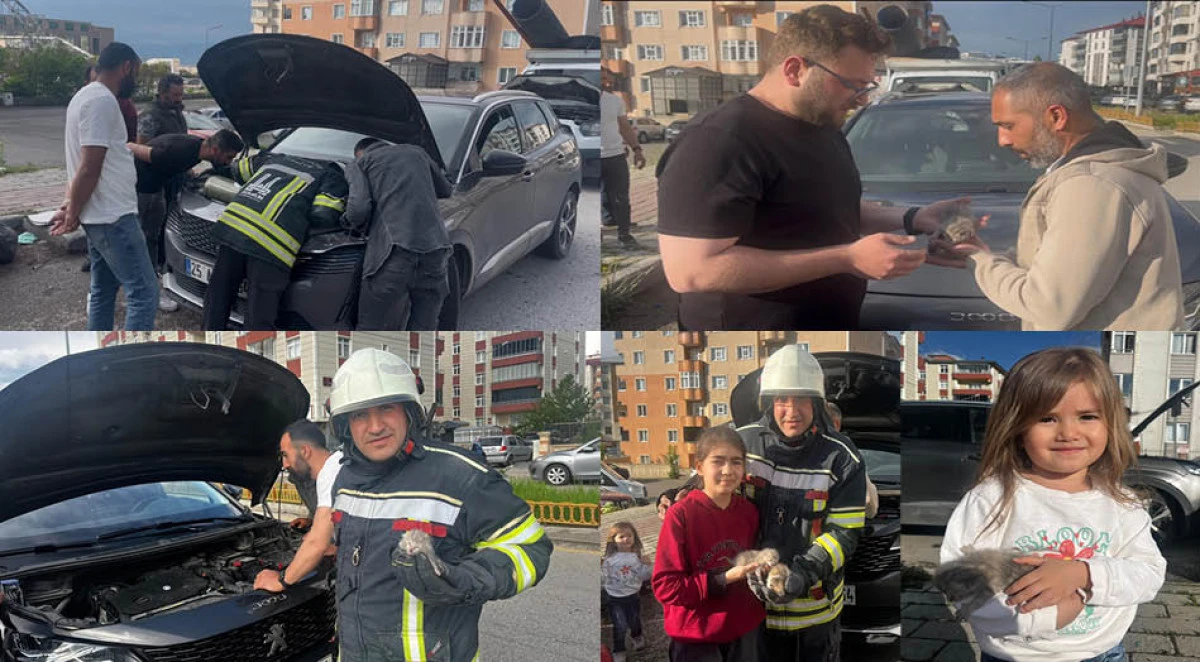 Otomobilin motor b&ouml;l&uuml;m&uuml;ne sıkışan 2 yavru kedi kurtarıldı