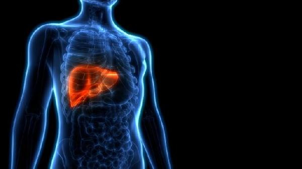Prof. Dr. Şenateş: Karaciğer hastalığında 8 belirtiye dikkat