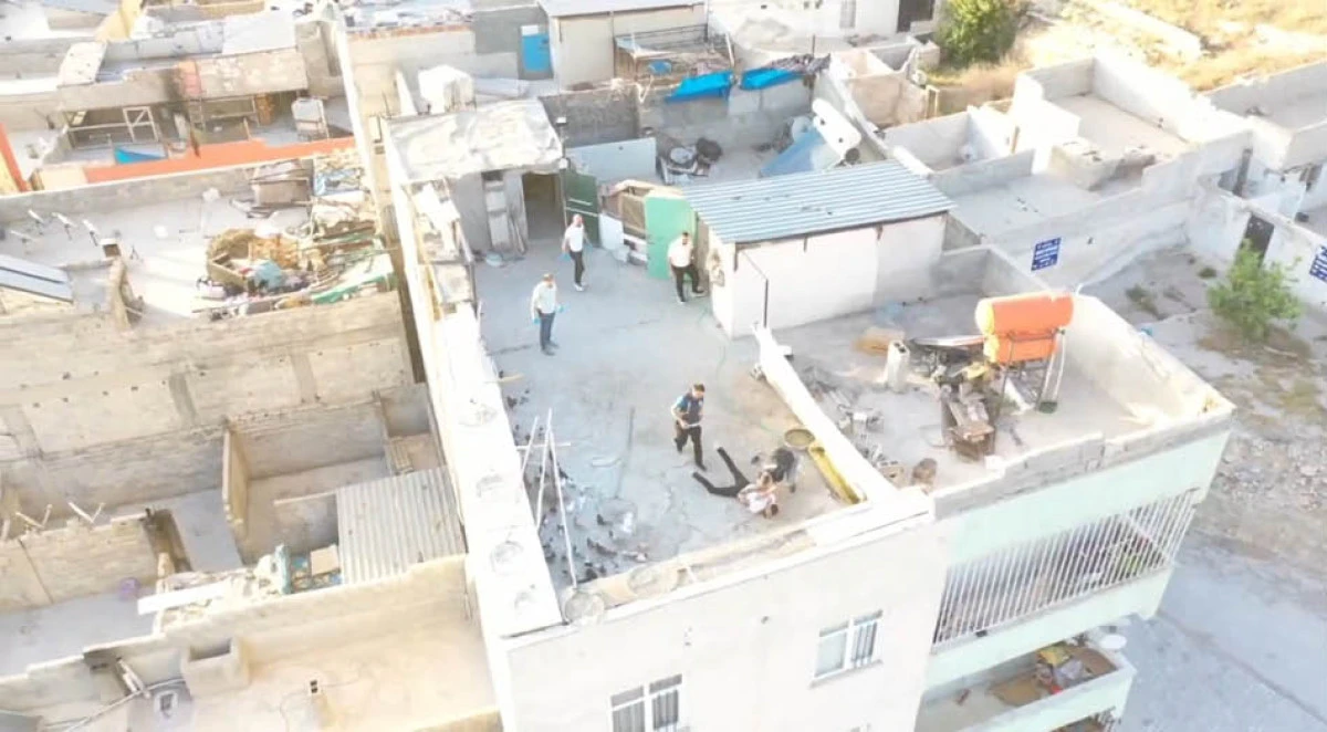 Şanlıurfa’da 2 günde 48 firari hükümlü yakalandı