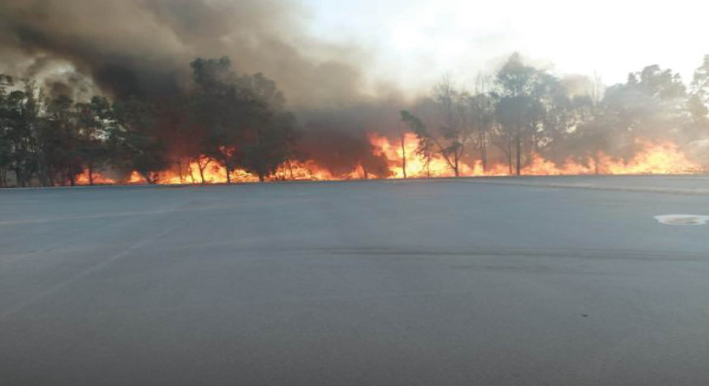 Sasalı Doğal Yaşam Parkı'nın yanındaki ormanda çıkan yangın kontrol altına alındı