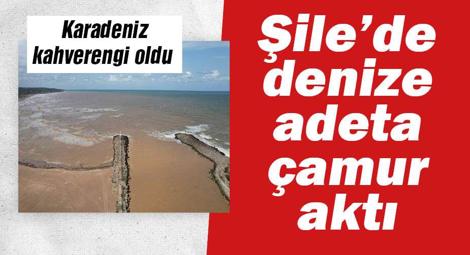 Şile'de denize çamur aktı; Karadeniz kahverengi oldu