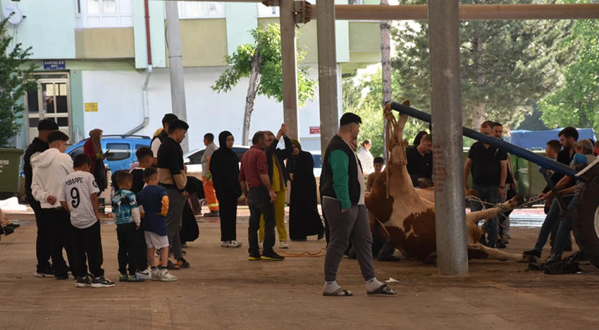 Sivas'ta kurban kesim noktalarında hareketlilik