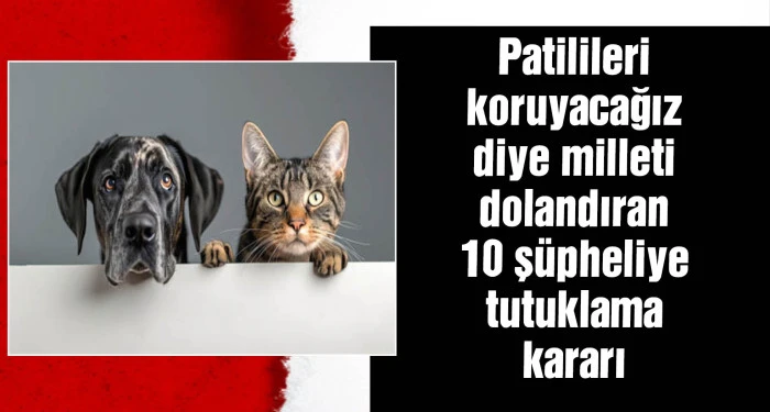 Sokak hayvanları için toplanan yardımları hesaplarına geçiren 10 şüpheli tutuklandı