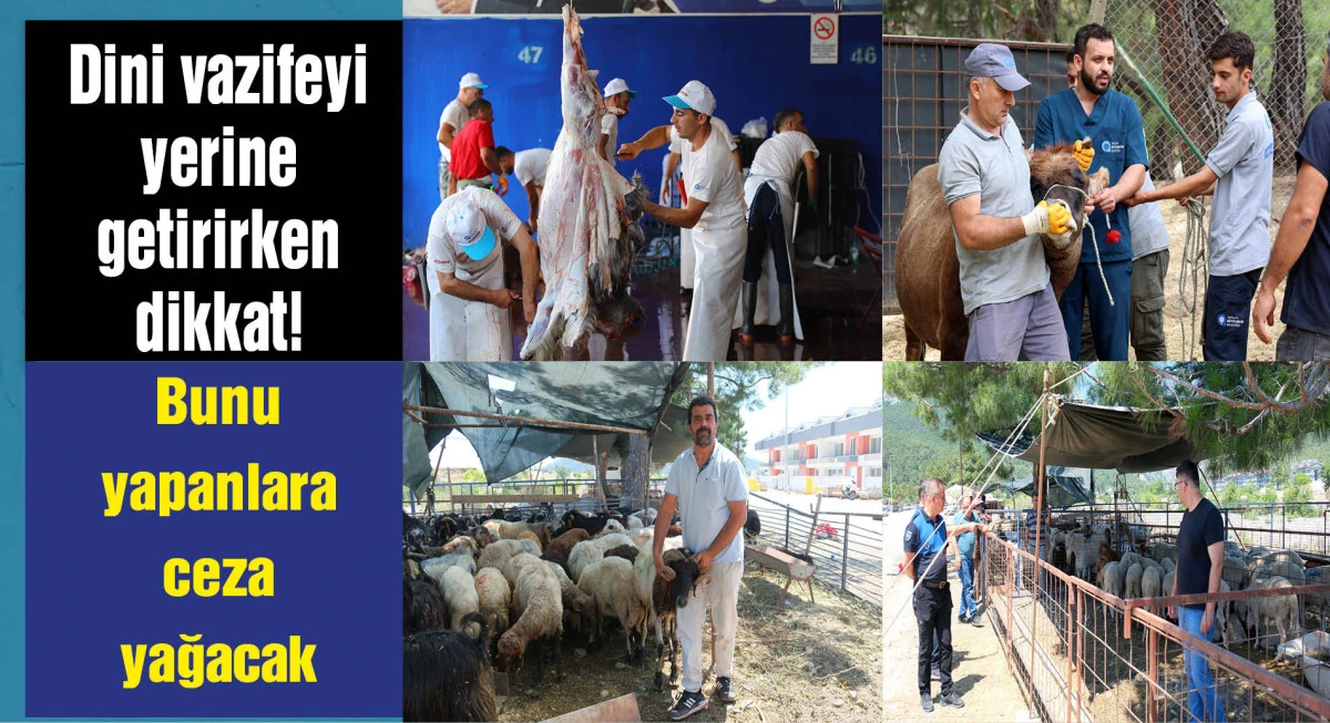 Sokakta kurban kesip, atıklarını gömene 23 bin 532 lira ceza