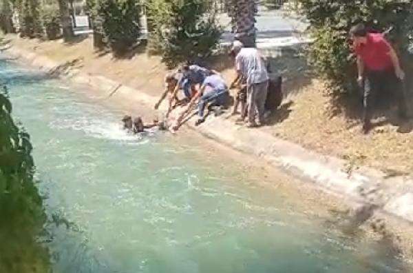 Sulama kanalına d&uuml;şen &ccedil;ocuk gen&ccedil;ler tarafından kurtarıldı